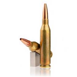 armas largas .243 winchester 6x52mm