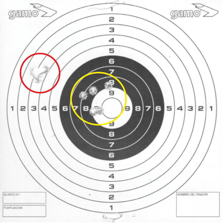 22LR  vs  PCP File