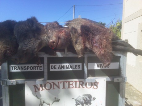   LOS ALMUERZOS DE CAZA MENOR NO CUENTAN Y LOS ABATES SIN FOTO TAMPOCO   

Voy a recordar las normas y 70