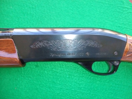 Hola, recientemente he adquirido la Remington 1100 que estaba a la venta en la Armería Navas, para mí 61