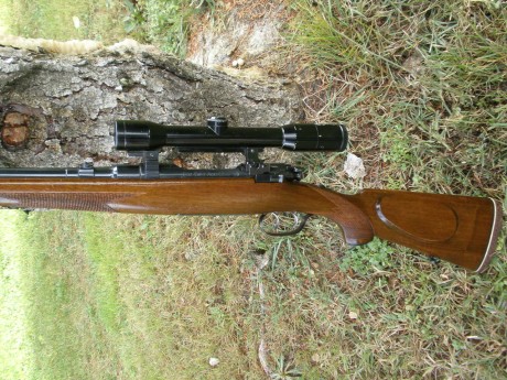 Pongo a la venta rifle Steyr Mannlicher Schoenauer modelo Gk en calibre 7x64 con monturas mannlicher y 11