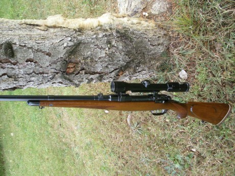 Pongo a la venta rifle Steyr Mannlicher Schoenauer modelo Gk en calibre 7x64 con monturas mannlicher y 22
