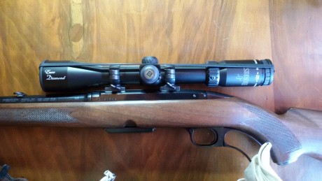 Vendo Winchester 88 calibre 308W. Pre-64. Con 2 cargadores de 4 balas y disparador afinado. Bases y anillas 10