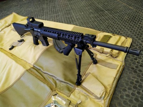 Se vende Walther-Colt M16 SPR 22L.R.
Cargadores de 10 y 30 balas
Visor holografico Bushell Holosight
Empuñadura 02