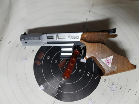 Hola vendo pistola pardini calibre 22 short con cacha anatomica,muy precisa y practicamente sin retroceso 00