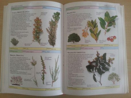 Hola, vendo libro PLANTAS SILVESTRES DEL MEDITERRANEO, en buen estado. El libro tiene unas 300 pag. todas 01
