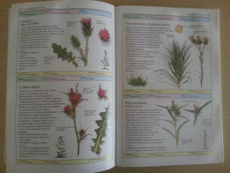 Hola, vendo libro PLANTAS SILVESTRES DEL MEDITERRANEO, en buen estado. El libro tiene unas 300 pag. todas 00