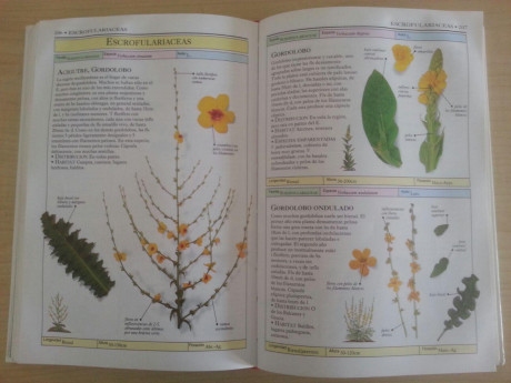 Hola, vendo libro PLANTAS SILVESTRES DEL MEDITERRANEO, en buen estado. El libro tiene unas 300 pag. todas 12