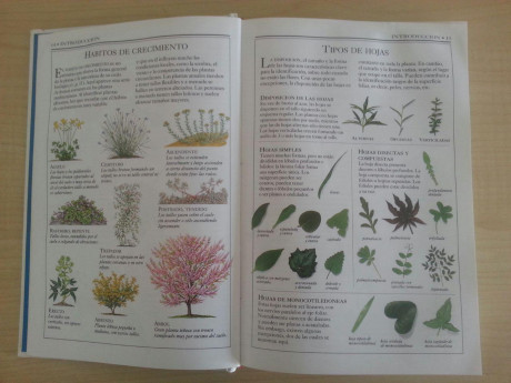 Hola, vendo libro PLANTAS SILVESTRES DEL MEDITERRANEO, en buen estado. El libro tiene unas 300 pag. todas 11