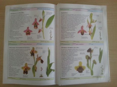 Hola, vendo libro PLANTAS SILVESTRES DEL MEDITERRANEO, en buen estado. El libro tiene unas 300 pag. todas 10
