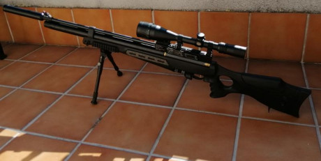 Vendo pcp Hatsan BT65 elite (del calibre 5, 5). Lo que vendo incluye: el rifle con el maletín + el visor 00