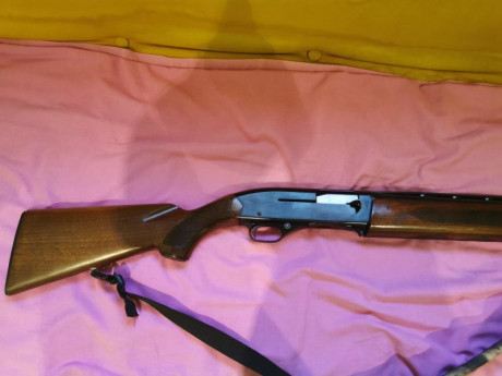 Vendo escopeta Winchester 1400 MKII en perfecto estado de conservacion y funcionamiento

  Calidre  12 01
