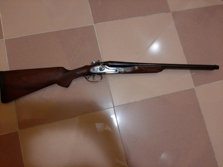 Vendo escopeta AMR calibre 12 Magnum  de perrillos con choques cilíndricos y cañones de 50 centímetros. 31