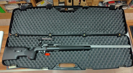 Rifle Sabatti Rover Tactical SYN .308, en perfecto estado, con visor SIGHTRON SIII 10-50x60, anillas Warne, 62
