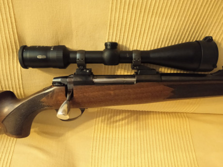 Vendo o cambio sako L691 30-06, con visor Meopta y appel, mas  otro visor bushnell elite 3200 3-9x40 con 01