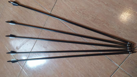 Buenas,

Vendo mi arco de poleas de marca Martin Archery made in USA, comprado en Estados Unidos ya que 20