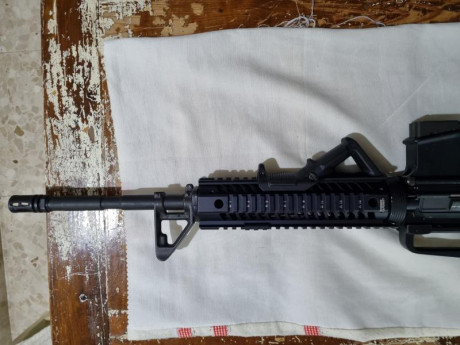 Se vende Sabre defence xr15 calibre 222Rem  con dos cargadores  va perfecto y bien cuidado el arma se 22