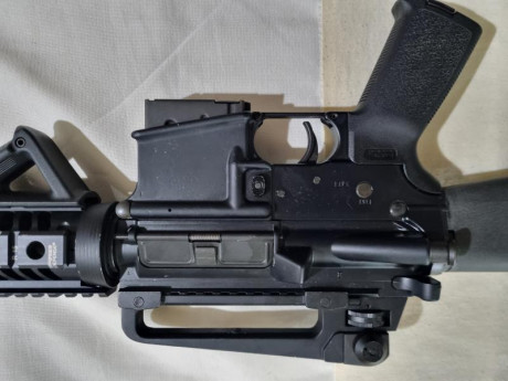 Se vende Sabre defence xr15 calibre 222Rem  con dos cargadores  va perfecto y bien cuidado el arma se 21