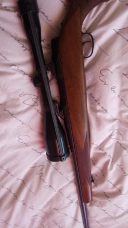 Se vende rifle Carl Gustaf 3000 calibre 222 remington con monturas apel y visor schmidt & bender 8x56 00