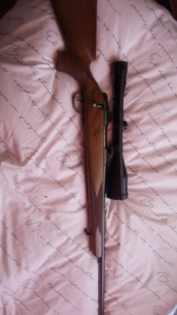 Se vende rifle Carl Gustaf 3000 calibre 222 remington con monturas apel y visor schmidt & bender 8x56 21