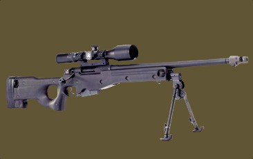 Accuracy International Arctic Warfare
