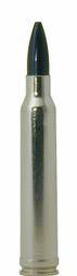 .300 Winchester Magnum