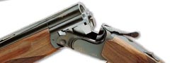 Armas parte 4: Escopetas