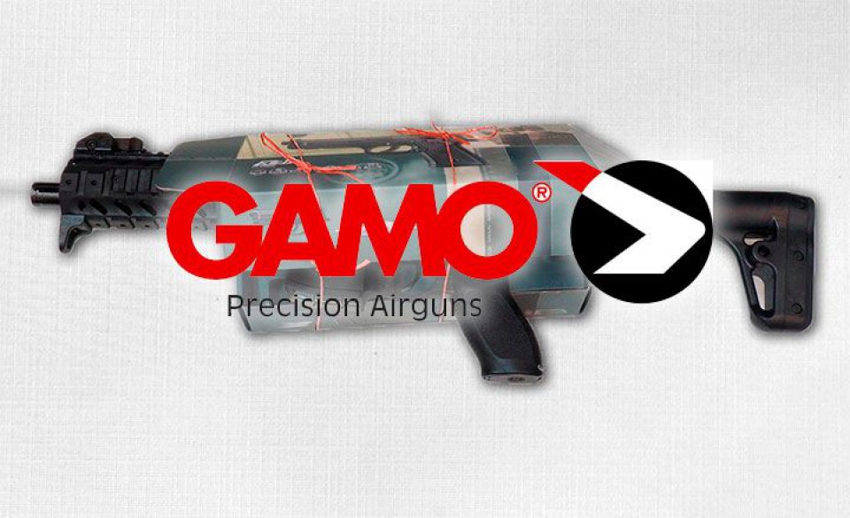 Carabina Gamo Delta - La mejor opción para iniciarse en el aire comprimido  