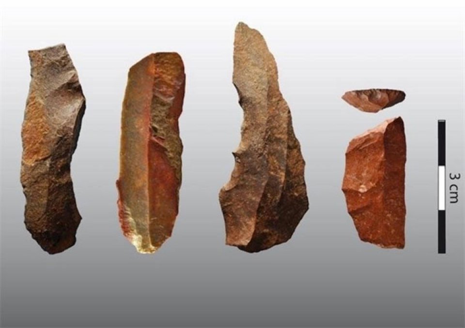 imagen de Descubren pruebas de ingeniería armamentística de hace 65.000 años