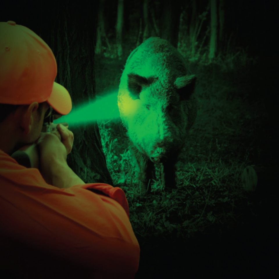 imagen de Linterna de Smith & Wesson con luz verde para aguardos nocturnos