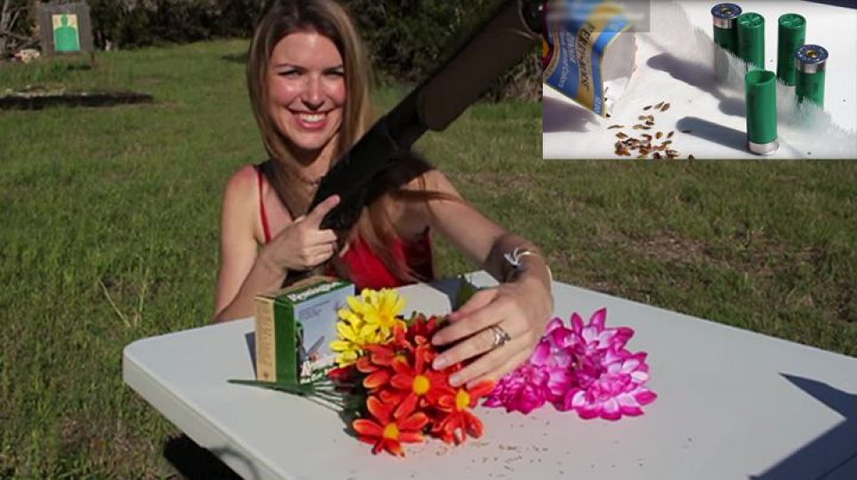 imagen de Flower Shell patenta un sistema de siembra mediante escopeta