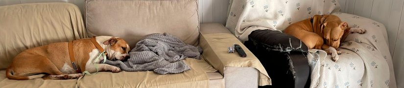 calendario-benefico-asociacion-xdana