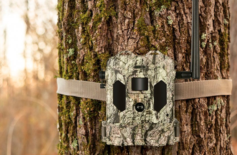 Las 10 mejores cámaras trampa para caza según los clientes de
