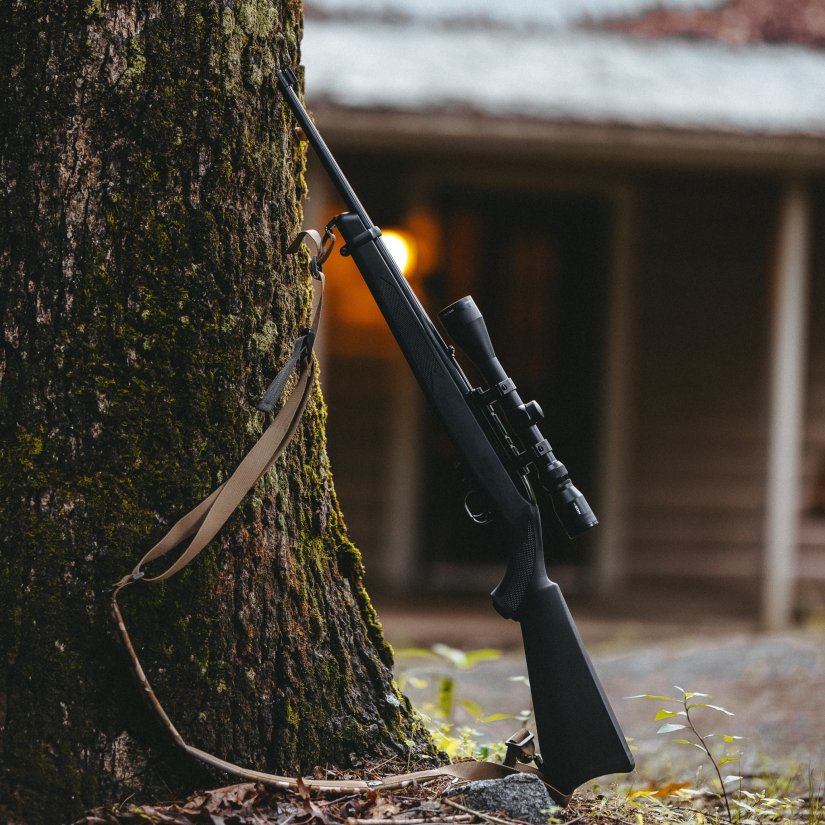 carabina semiautomatica ruger 1022 analisis