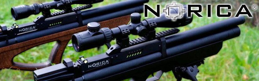 carabinas-norica-black-friday