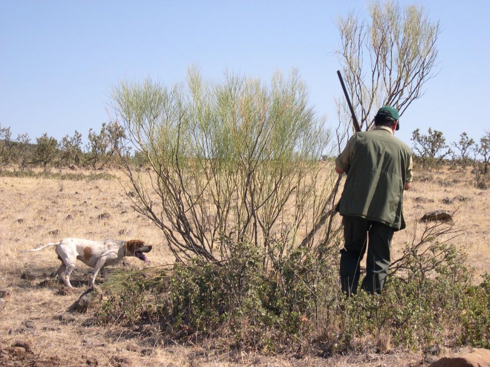 imagen de Jóvenes por la Caza pide a los cazadores que voten con responsabilidad