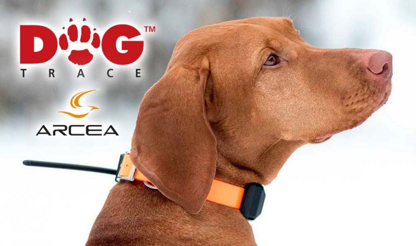 Collar adicional Localizador GPS DogTrace