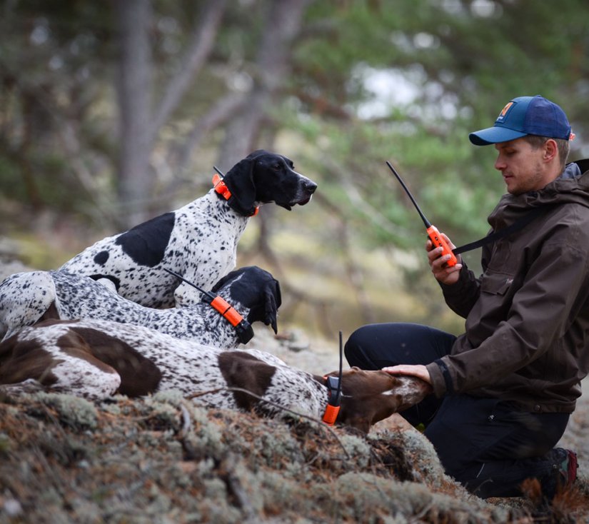 Los 6 eléctricos para perros de caza mejor valorados