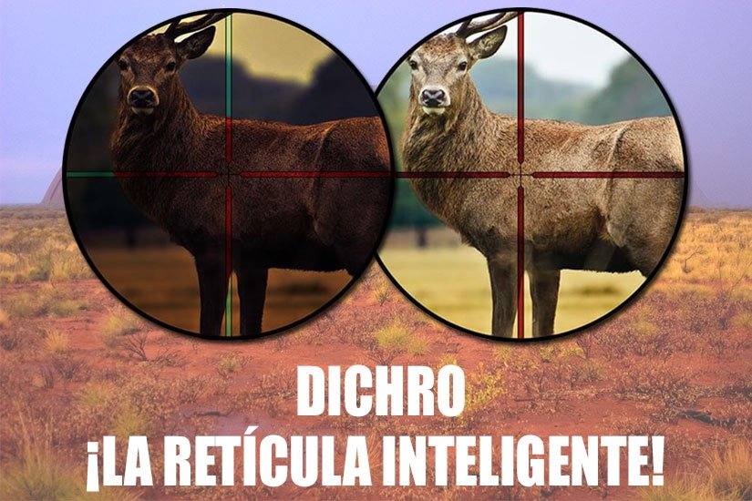 retícula inteligente dichro