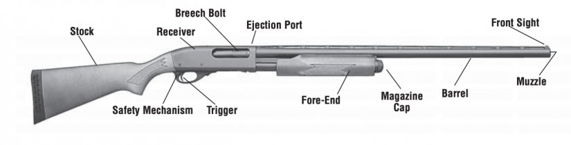 libros electronicos manuales de armas escopeta