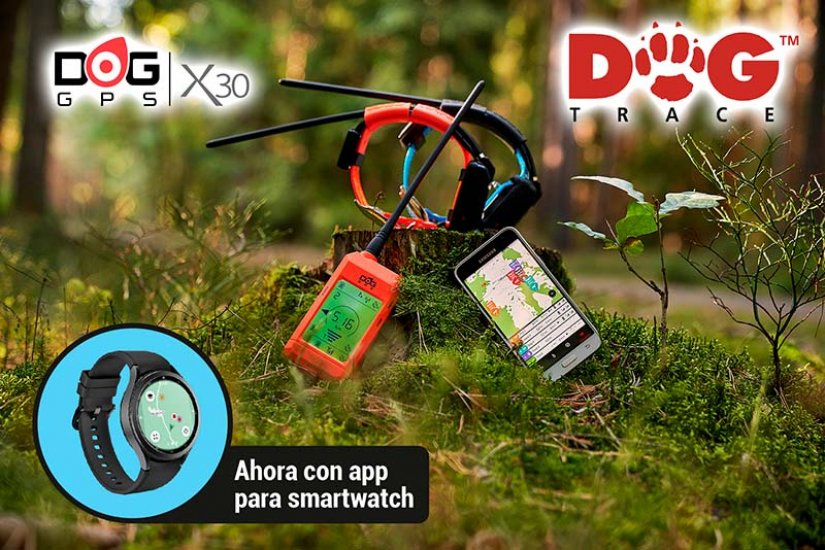 Localizador Gps Para Perros Dogtrace X20 20km De Alcance Con