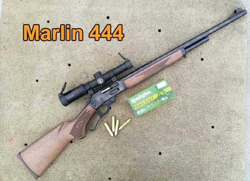 Rifle marlin 444
