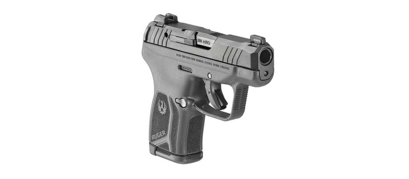 Ruger LCP MAX.jpg