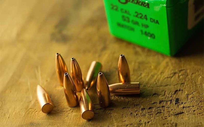 tipos-de-municion-para-rececho-en-españa