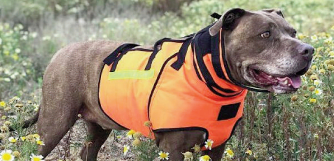 Escalera portugués carpeta Chalecos de protección para perros