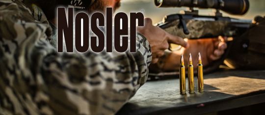 nosler puntas de recarga