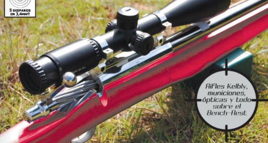 Periódico Armas.es Edición Impresa. Número 25. Abril - Mayo 2010