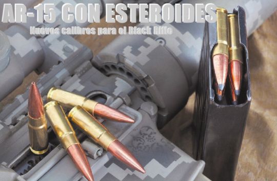 Periódico Armas.es Edición Impresa. Número 51. Diciembre 2013 - Enero 2014