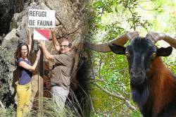 imagen de El Consell de Mallorca prohíbe la caza en 5 fincas públicas y la RFEC responde