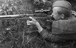 imagen de Rifles de tirador designado desde la WWII hasta nuestros días